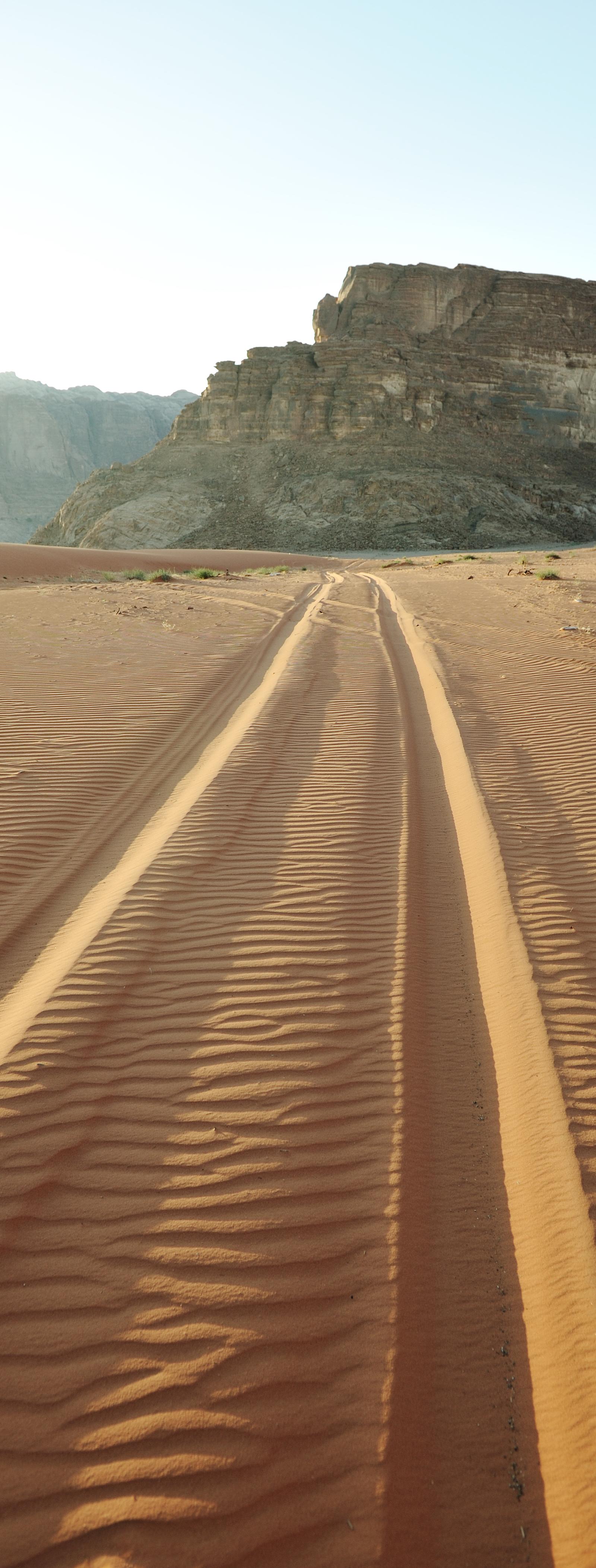Riyadh Locals Reveal Hidden Wadi Trails Tourists Never Discover